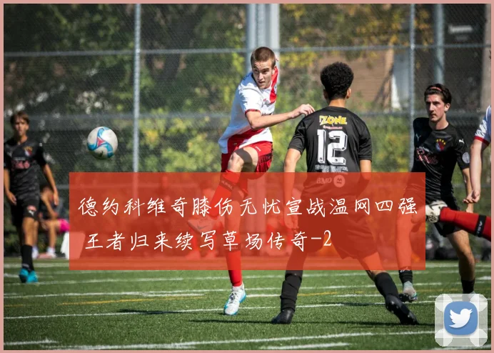 德约科维奇膝伤无忧宣战温网四强 王者归来续写草场传奇