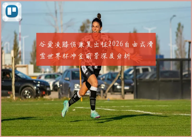 谷爱凌膝伤康复出征2026自由式滑雪世界杯冲金前景深度分析