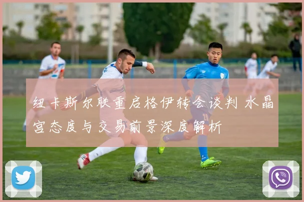纽卡斯尔联重启格伊转会谈判 水晶宫态度与交易前景深度解析